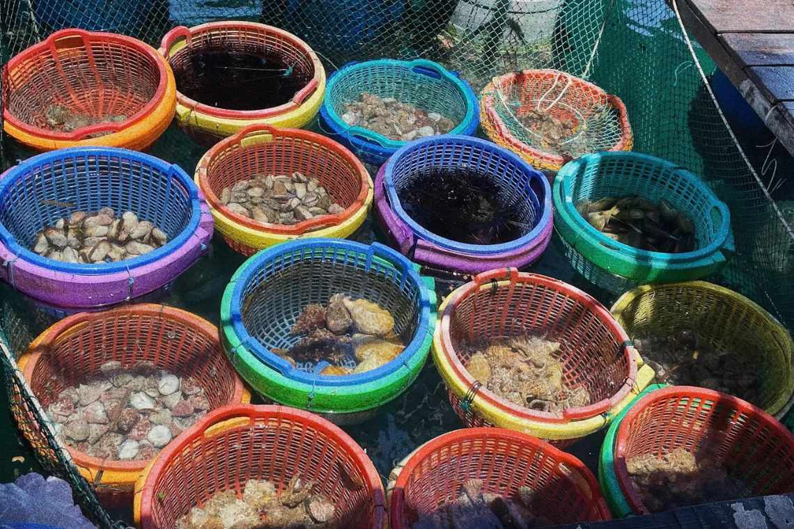 Nhà hàng bè nổi Nha Trang – Trải nghiệm ẩm thực trên biển độc đáo có 1-0-2 2